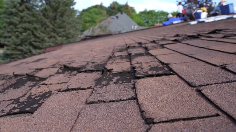 Best Roof Ventilation Installation  in Hudsonville, MI