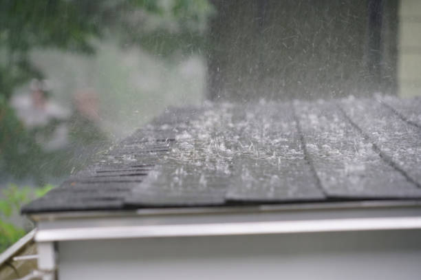 Best Commercial Roofing Services  in Hudsonville, MI