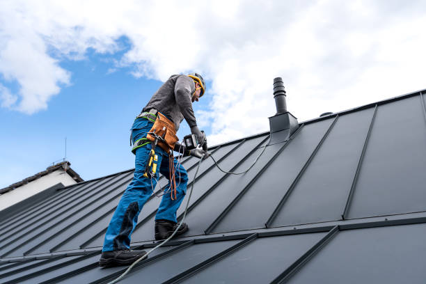 Best Roof Insulation Installation  in Hudsonville, MI